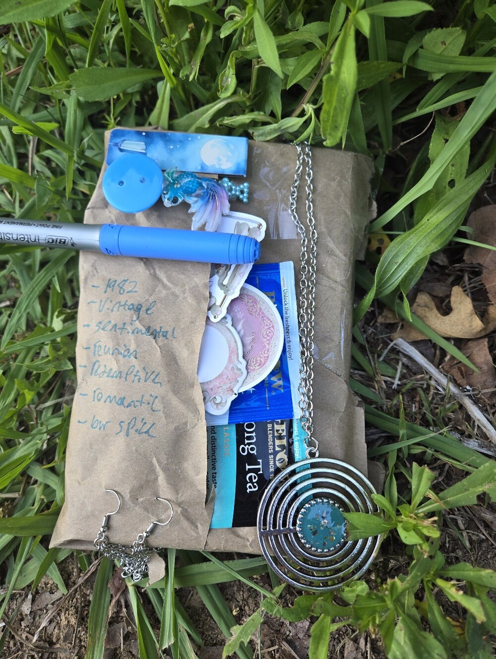 Vintage Blind Date With A Book!